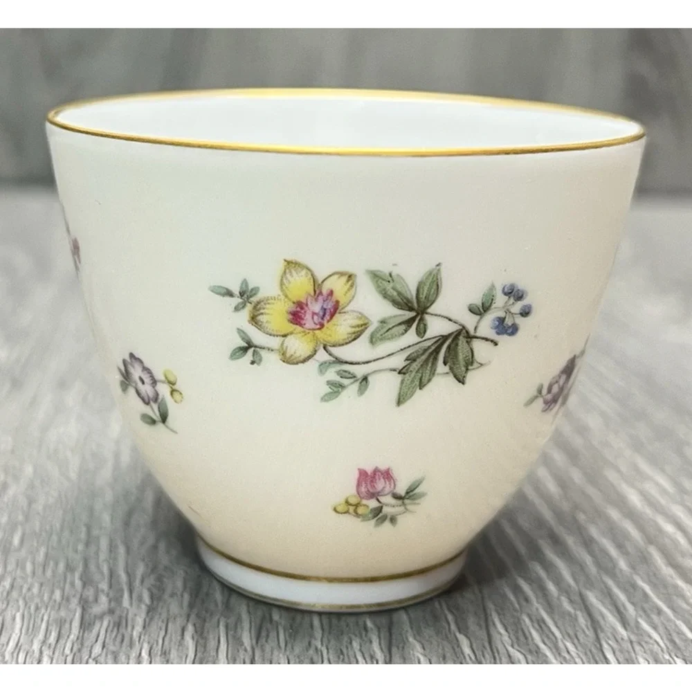 Franconia Fleurettes Selb Bavaria Tea Cup & Saucer Set Colorful Floral Gold Trim